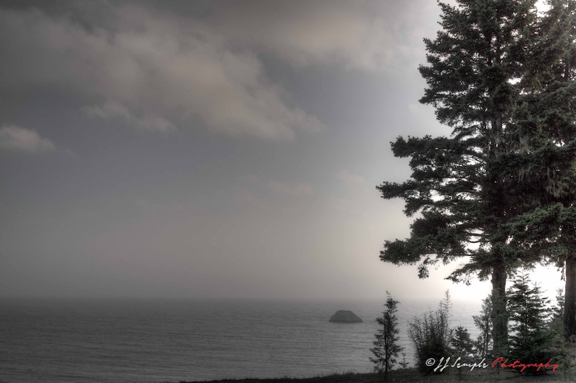 Pacific Ocean Foggy Beach View, Trinidad, CA