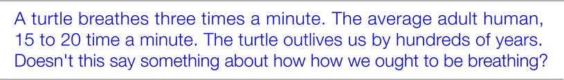 TurtleText
